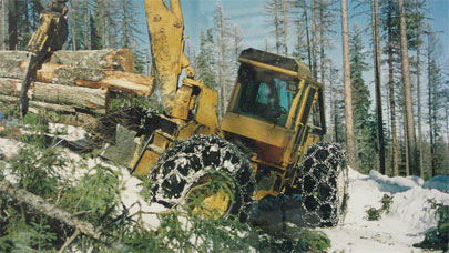 Heavy duty chains logging application